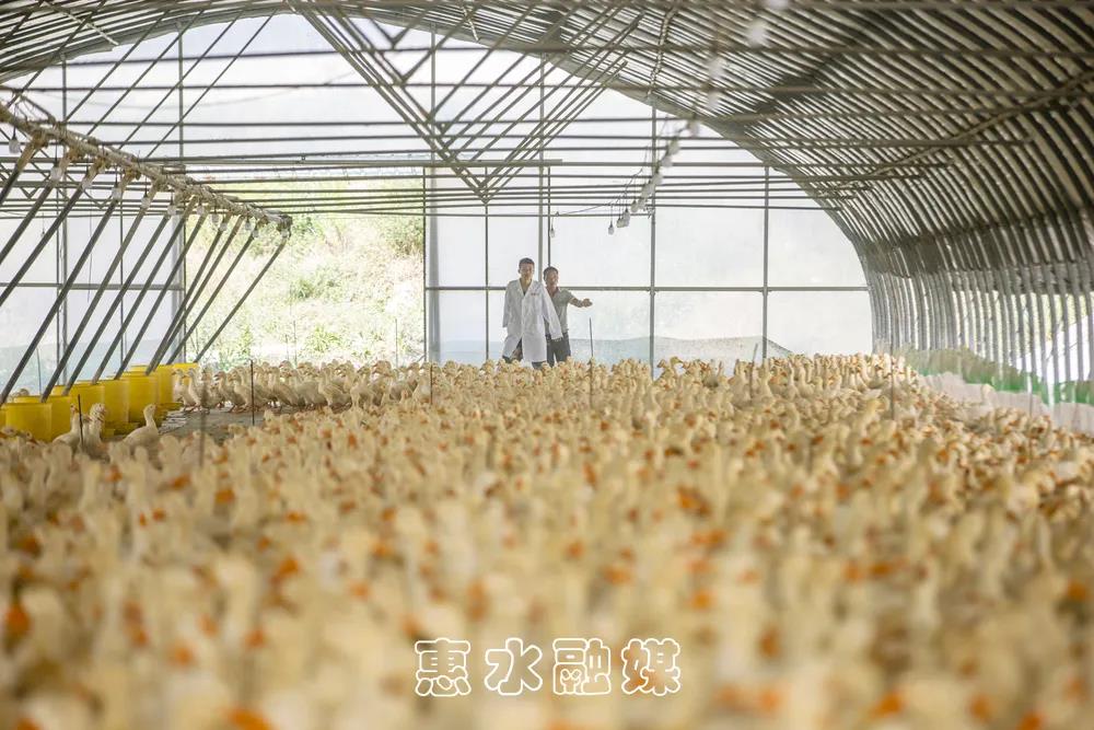 中新网黑龙江新闻官方微信：扫一扫当即重视！